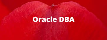 Oracle DBA